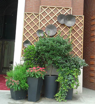 �����̻�ֲ������